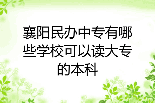 襄阳民办中专有哪些学校可以读大专的本科