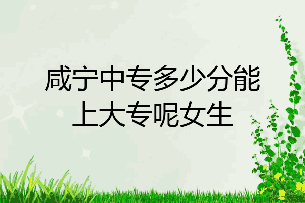 咸宁中专多少分能上大专呢女生