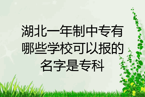 湖北一年制中专有哪些学校可以报的名字是专科