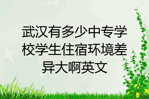 武汉有多少中专学校学生住宿环境差异大啊英文