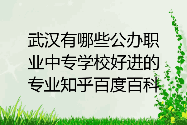武汉有哪些公办职业中专学校好进的专业知乎百度百科