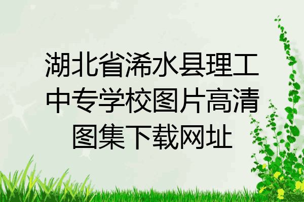 湖北省浠水县理工中专学校图片高清图集下载网址