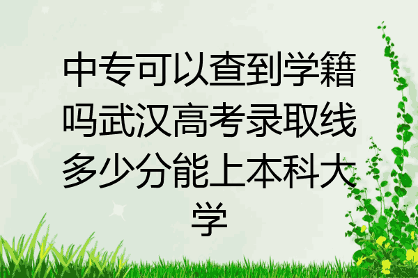 中专可以查到学籍吗武汉高考录取线多少分能上本科大学