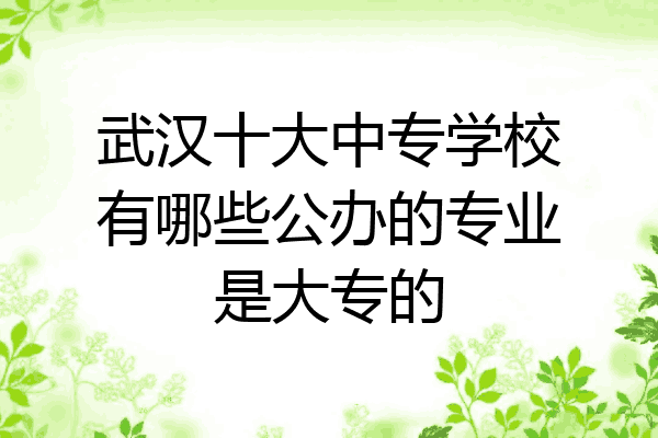 武汉十大中专学校有哪些公办的专业是大专的