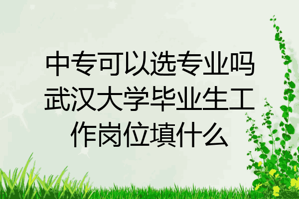中专可以选专业吗武汉大学毕业生工作岗位填什么