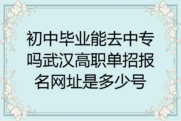 初中毕业能去中专吗武汉高职单招报名网址是多少号