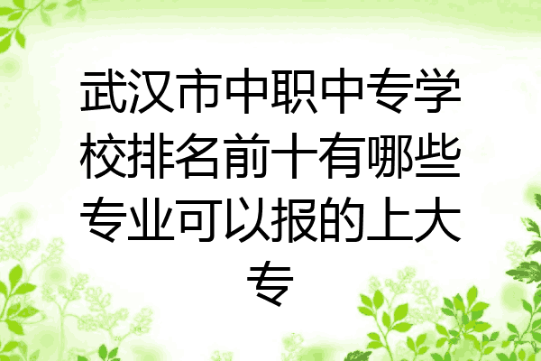 武汉市中职中专学校排名前十有哪些专业可以报的上大专