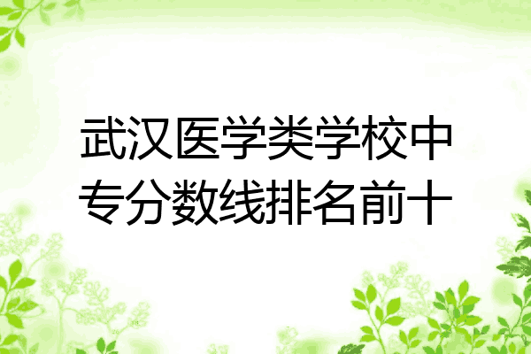 武汉医学类学校中专分数线排名前十