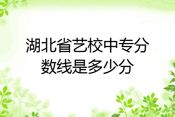 湖北省艺校中专分数线是多少分
