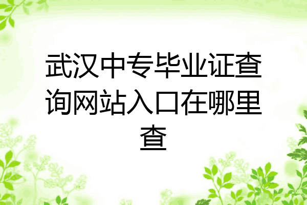 武汉中专毕业证查询网站入口在哪里查