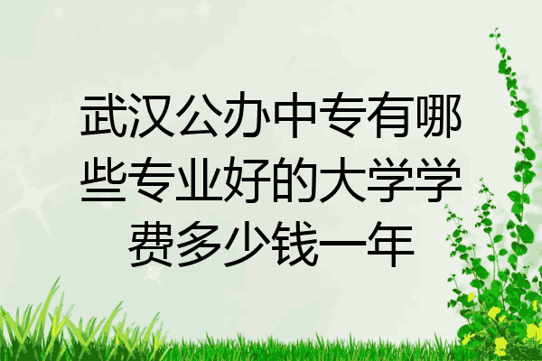 武汉公办中专有哪些专业好的大学学费多少钱一年