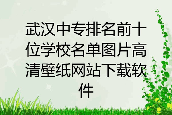 武汉中专排名前十位学校名单图片高清壁纸网站下载软件