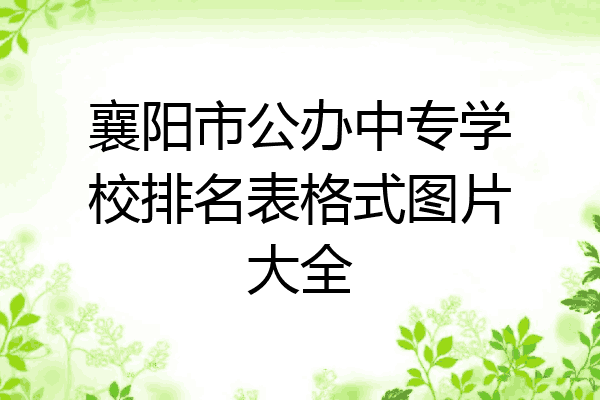 襄阳市公办中专学校排名表格式图片大全