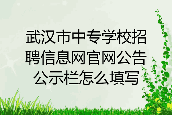 武汉市中专学校招聘信息网官网公告公示栏怎么填写