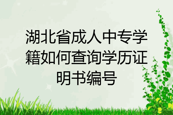 湖北省成人中专学籍如何查询学历证明书编号