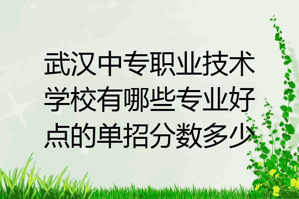 武汉中专职业技术学校有哪些专业好点的单招分数多少