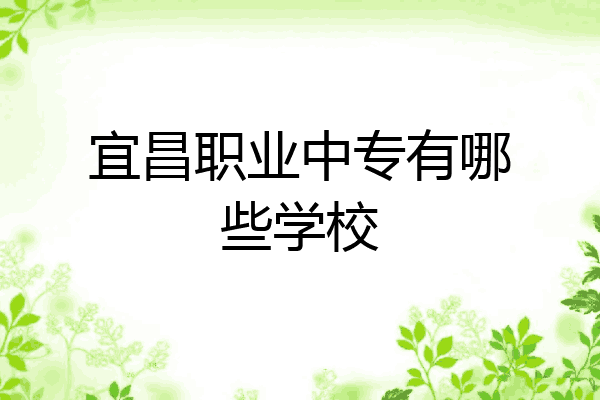 宜昌职业中专有哪些学校