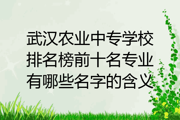 武汉农业中专学校排名榜前十名专业有哪些名字的含义