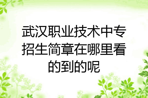 武汉职业技术中专招生简章在哪里看的到的呢