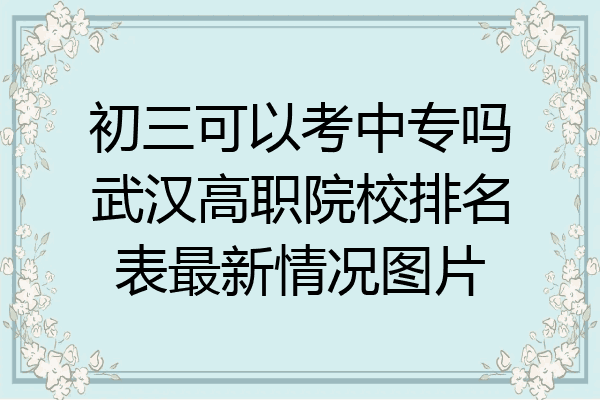 初三可以考中专吗武汉高职院校排名表最新情况图片
