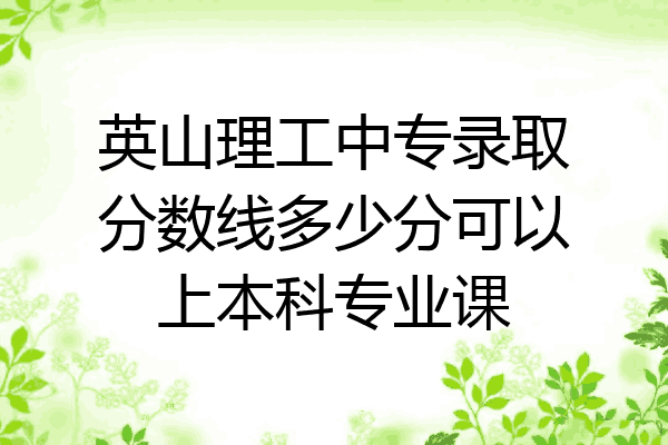 英山理工中专录取分数线多少分可以上本科专业课
