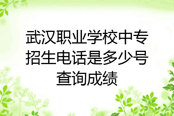 武汉职业学校中专招生电话是多少号查询成绩