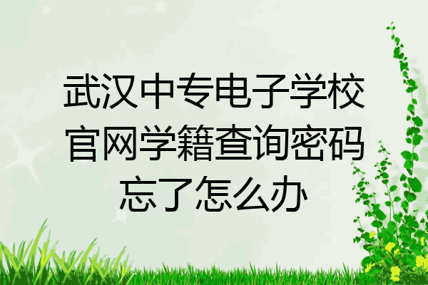 武汉中专电子学校官网学籍查询密码忘了怎么办