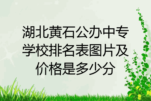 湖北黄石公办中专学校排名表图片及价格是多少分