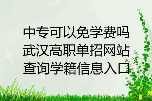 中专可以免学费吗武汉高职单招网站查询学籍信息入口
