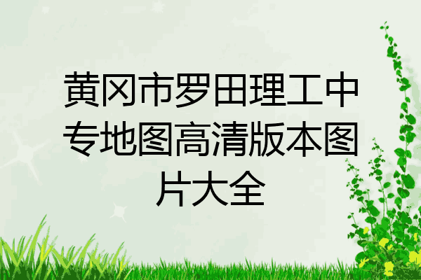 黄冈市罗田理工中专地图高清版本图片大全