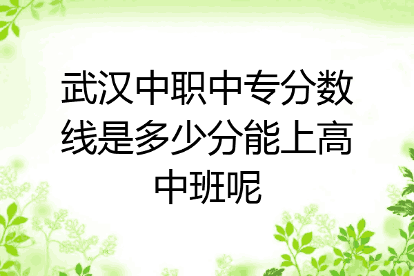 武汉中职中专分数线是多少分能上高中班呢
