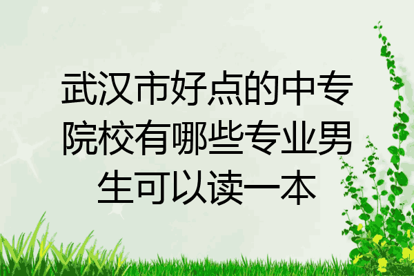 武汉市好点的中专院校有哪些专业男生可以读一本