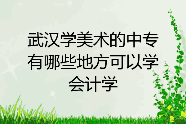 武汉学美术的中专有哪些地方可以学会计学