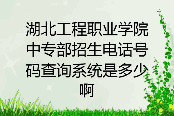 湖北工程职业学院中专部招生电话号码查询系统是多少啊
