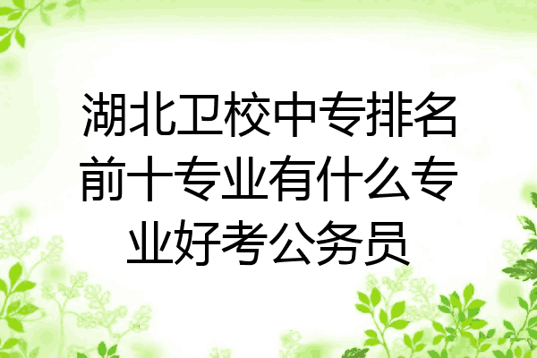 湖北卫校中专排名前十专业有什么专业好考公务员