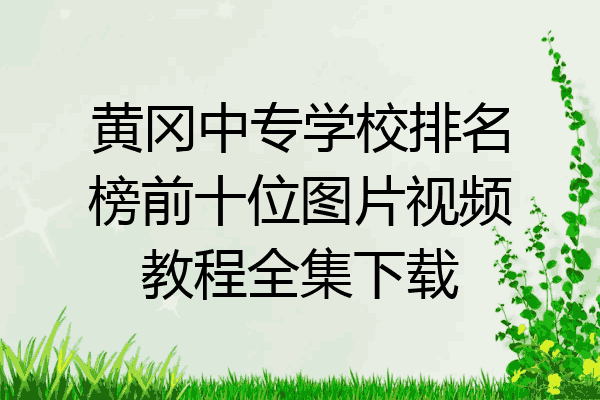 黄冈中专学校排名榜前十位图片视频教程全集下载