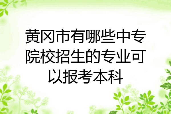 黄冈市有哪些中专院校招生的专业可以报考本科