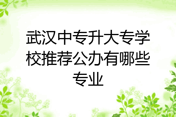 武汉中专升大专学校推荐公办有哪些专业