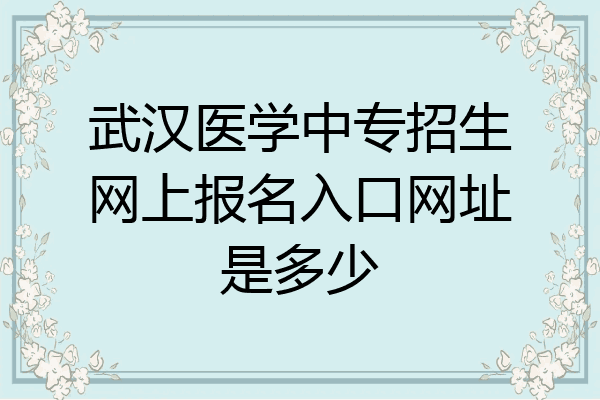 武汉医学中专招生网上报名入口网址是多少