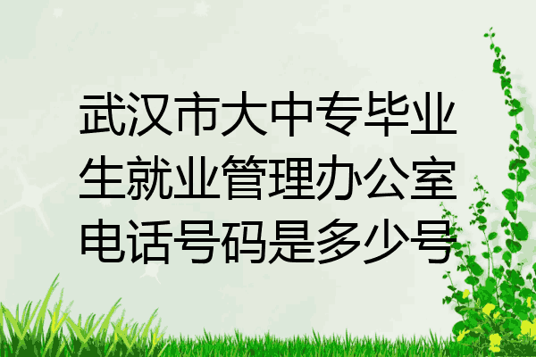 武汉市大中专毕业生就业管理办公室电话号码是多少号