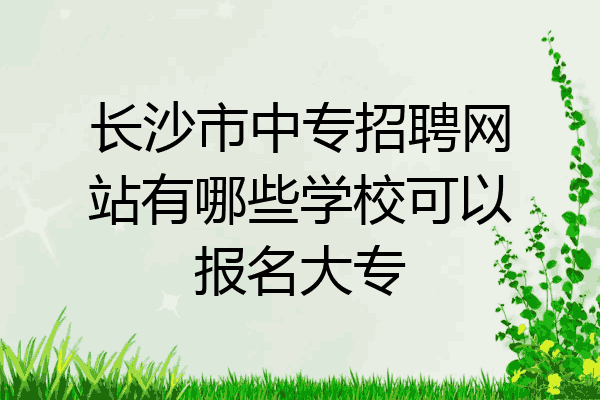 长沙市中专招聘网站有哪些学校可以报名大专