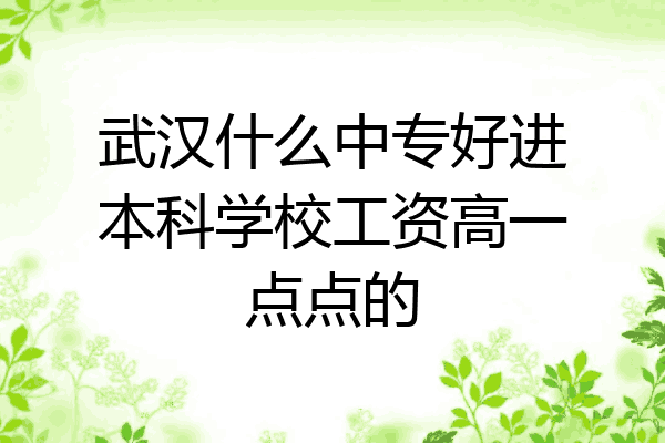 武汉什么中专好进本科学校工资高一点点的