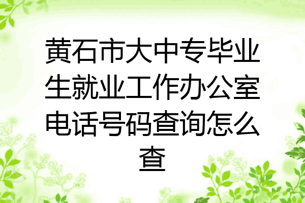黄石市大中专毕业生就业工作办公室电话号码查询怎么查