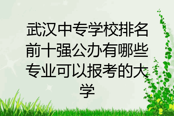 武汉中专学校排名前十强公办有哪些专业可以报考的大学