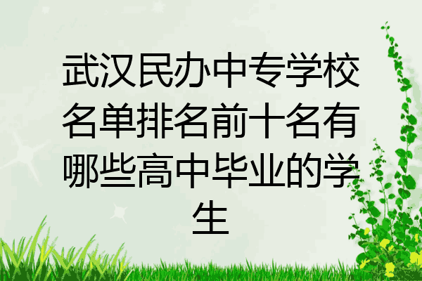 武汉民办中专学校名单排名前十名有哪些高中毕业的学生