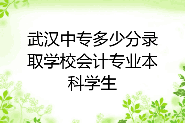 武汉中专多少分录取学校会计专业本科学生