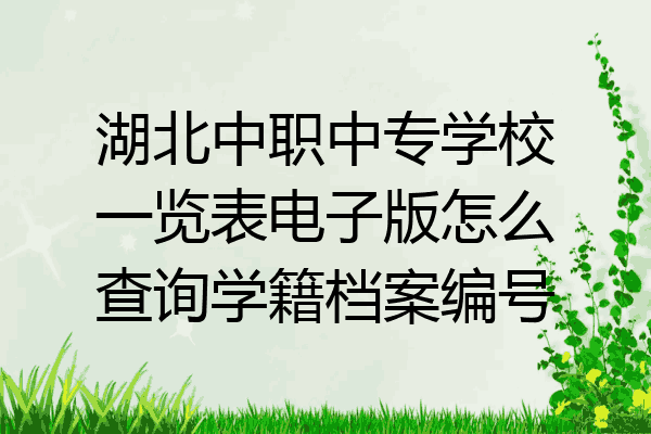 湖北中职中专学校一览表电子版怎么查询学籍档案编号