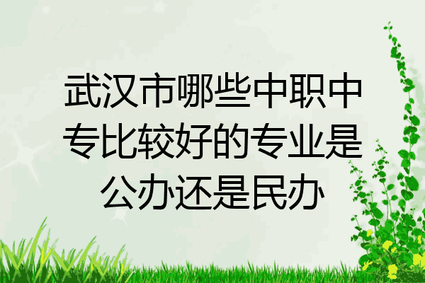 武汉市哪些中职中专比较好的专业是公办还是民办