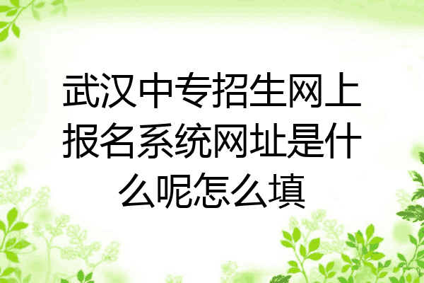 武汉中专招生网上报名系统网址是什么呢怎么填