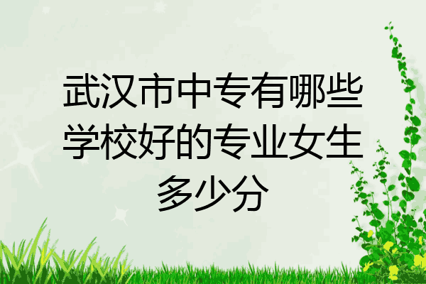 武汉市中专有哪些学校好的专业女生多少分